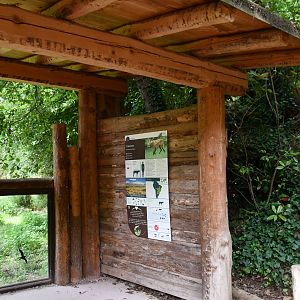 Maned Wolf exhibit viewing area