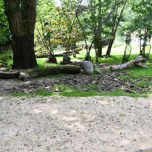 Lowland Tapir/Greater Rhea exhibit