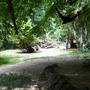 Lowland Tapir/Greater Rhea exhibit