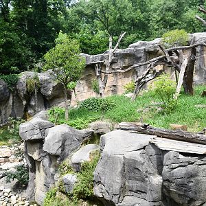 Giant Anteater (formerly Andean Bear) exhibit - no show