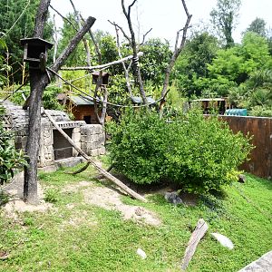 Black-tailed Prairie-Dogs/White-faced Saki/Geoffroy's Marmoset exhibit