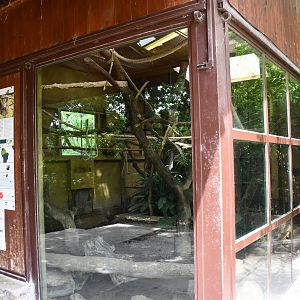 Linne's Two-toed Sloth/Large Hairy Armadillo exhibit