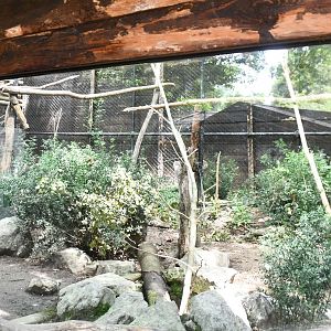 Great Green Macaw exhibit