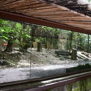 Scarlet Ibis exhibit