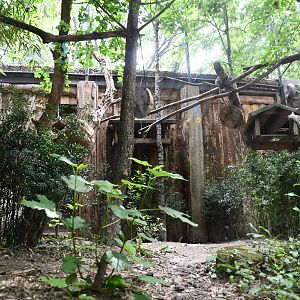 Common Marmoset exhibit