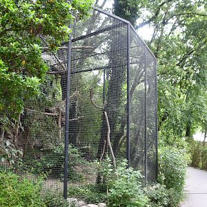Blue-throated Macaw aviary