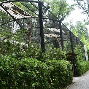 Curassow/Macaws aviary