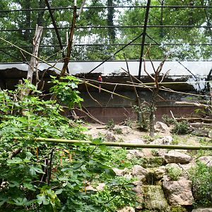 Curassow/Macaws aviary
