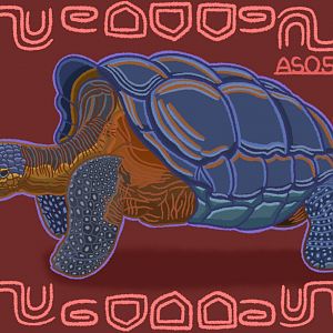 Galápagos Tortoise