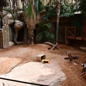 first Komodo Dragon exhibit (House of Giants)