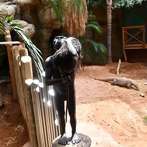 statue of prehistoric Flores human species with Flores giant rat (House of Giants, between the two Komodo Dragon exhibits)