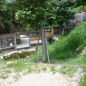 outdoor Giant Otter exhibit