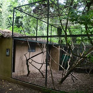 one of a row of Parrot Cages close to the cafeteria