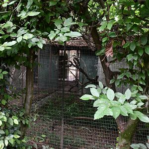 one of a row of Parrot cages (semi-off show?) next to the cafeteria
