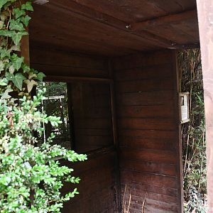 Barn Owl exhibit viewing area