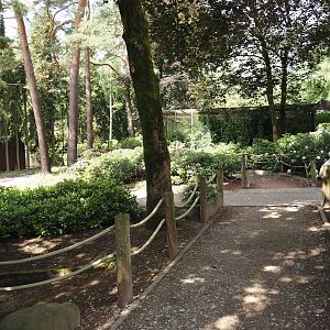 Access to the 'Blick hinter den Kulissen' area, 2024-05-23