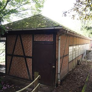 Backside of the bird house for one of the parrot aviary blocks, seen from the access to the 'Blick hinter den Kulissen' area, 2024-05-23