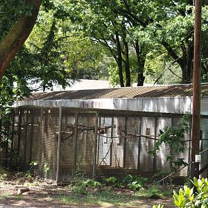 Behind-the-scenes aviaries, seen from the access to the 'Blick hinter den Kulissen' area, 2024-05-23