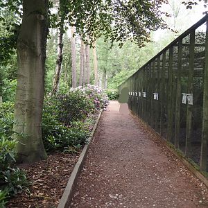 'Blick hinter den Kulissen' area, 2024-05-23