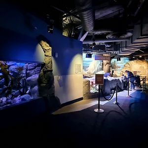 Giant Octopus Tank and Learning Lab