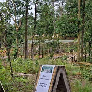 New exhibits on the way