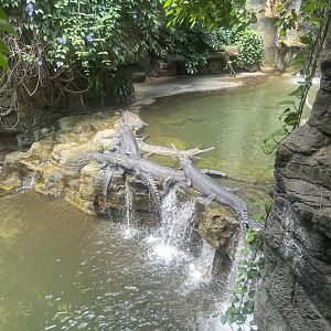 Gharial Exhibit