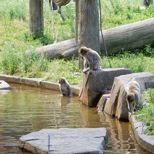 6/29/2024 - Testing the Water