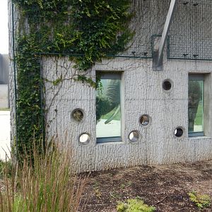 6/29/2024 - Foraging the Wall