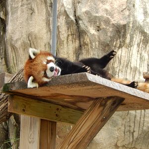 6/29/2024 - The Heat Beat Me...