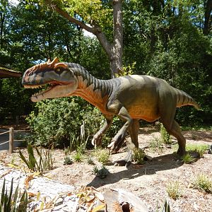 6/29/2024 - Allosaurus