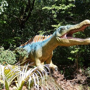 6/29/2024 - Suchomimus