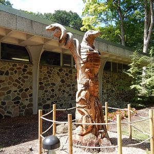 6/29/2024 - New Wooden Reptile Sculpture