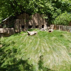 6/29/2024 - Prairie Dog Habitat