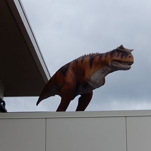 6/29/2024 - Godzilla?!