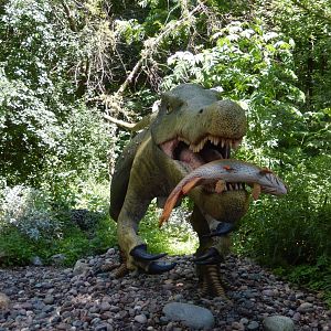 6/29/2024 - Baryonyx