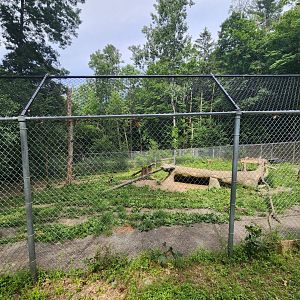 Utica Zoo - African Wild Dog enclosure