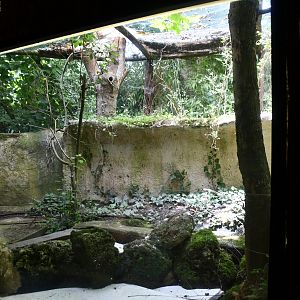 Hoopoe/Bee-eater/Spotted Redshank/Bohemia Waxwing exhibit