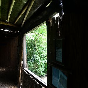 view into shorebirds aviary