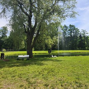Fort Rickey Zoo - Deer walkthrough petting area