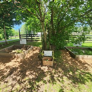 Fort Rickey Zoo - Tortoise enrichment pens