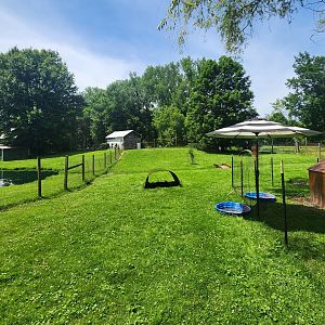 Fort Rickey Zoo - Wallaby yard