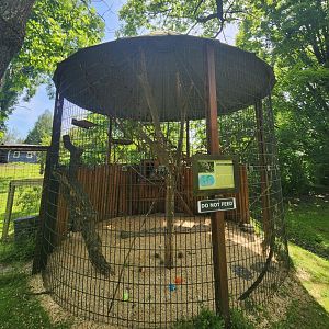 Fort Rickey Zoo - Ringtail Lemur enclosure