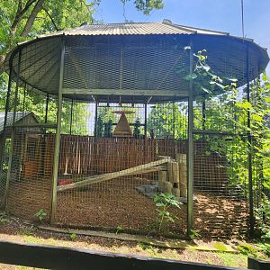 Fort Rickey Zoo - Eagle Owl enclosure