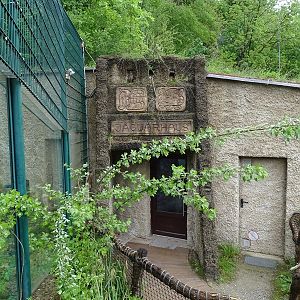 Jaguar house entrance