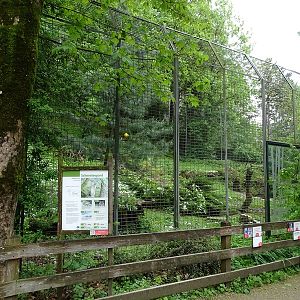 Snow leopard enclosure