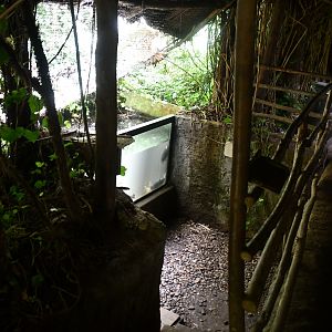 one of the fish tanks in "The River" corridor