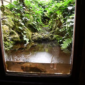 aqua-terrarium exhibit in "The River" corridor