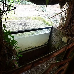 one of several fishtanks in "The River" corridor