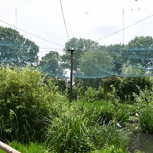 Shorebirds walkthrough aviary