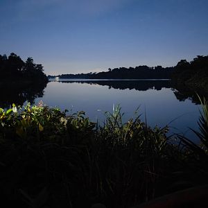 View of Seletar Reservoir